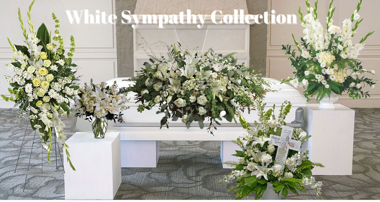 White Sympathy Collection